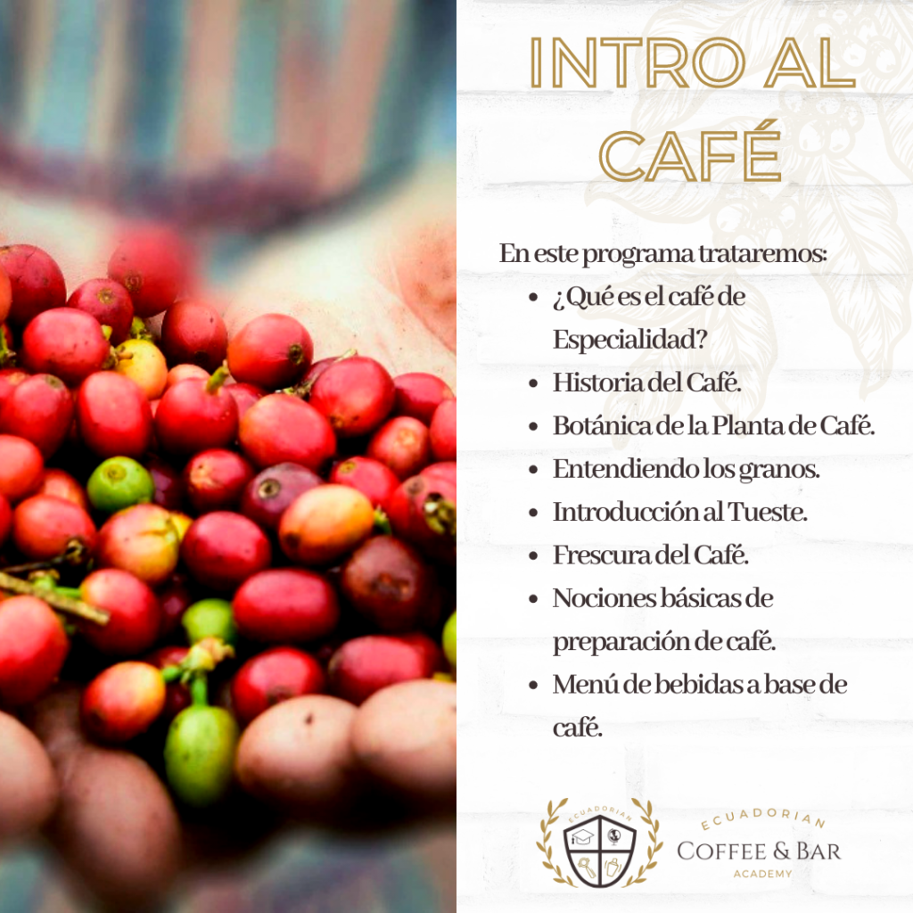 INTRODUCCIÓN AL CAFÉ The Ecuadorian Coffee Company INTRODUCCIÓN AL CAFÉ The Ecuadorian Coffee Company